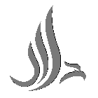 1. PROSPECT (FIRST CONVERSATIONS)