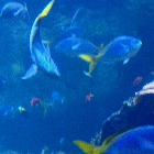 Elevate Wealth Management, LLC.